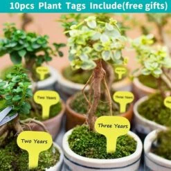 BAICCCF Mèche Pour Tarière 8 Cm X 30 Cm Et 4 Cm X 22 Cm Spirales Intensives Arbre Solide Foret En Spirale Robuste Pour Planter Des Plantes à Bulbe Foret De Tarière Pour Perceuse Hexagonale 3/8" -Tarière motorisée Soldes 60740115 4