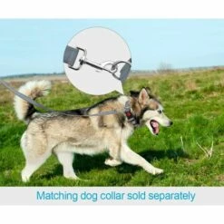 BENOBBY KIDS Laisse De Dressage Réfléchissante Pour Chien, Poignée Rembourrée En Néoprène Et Crochet En Métal, 1.2m X 1.5cm Laisse En Nylon Pour Petits Chiens, Gris -Tarière motorisée Soldes 64106686 3