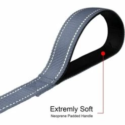 BENOBBY KIDS Laisse De Dressage Réfléchissante Pour Chien, Poignée Rembourrée En Néoprène Et Crochet En Métal, 1.2m X 1.5cm Laisse En Nylon Pour Petits Chiens, Gris -Tarière motorisée Soldes 64106686 4