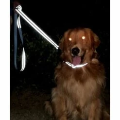 BENOBBY KIDS Laisse De Dressage Réfléchissante Pour Chien, Poignée Rembourrée En Néoprène Et Crochet En Métal, 1.2m X 1.5cm Laisse En Nylon Pour Petits Chiens, Gris -Tarière motorisée Soldes 64106686 5