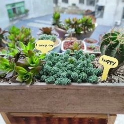 HELLO KITTY BAIN Garden Auger Bit 80mm Forets De Foreuse De Jardin En Spirale, Foret Sans Fil Pour Tarière De Jardin, Outil De Crevasse Pour Plantes,vert -Tarière motorisée Soldes 65627057 4